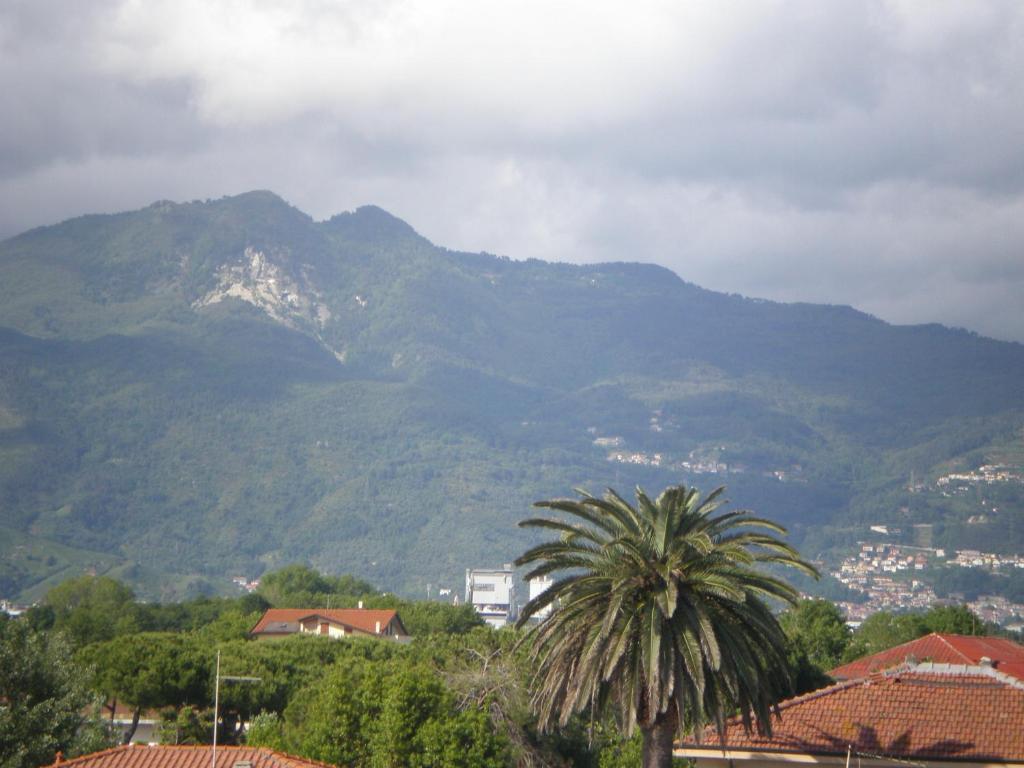 Hotel Giulia Marina di Massa Exteriér fotografie